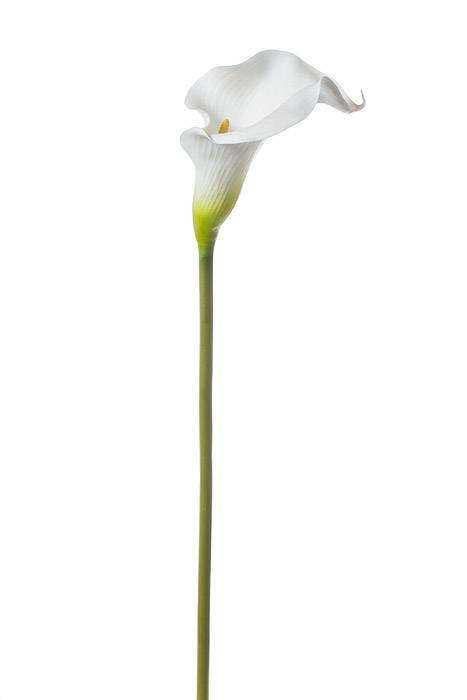 pack of 8 39 Giant Calla Lily Spray  Two Tone Yellow  