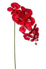 42" ORCHID SPRAY RED