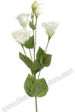 30" LISIANTHUS SPRAY CREAM/WHITE