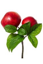 8" APPLE PICK RED/GREEN