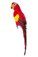 24" FEATHER STANDING  MACAU RED