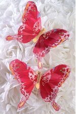 5" FEATHERED BUTTERFLIES RED PKG/12