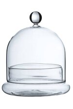 5.5" TERRARIUM GLASS CLOCHE CLEAR