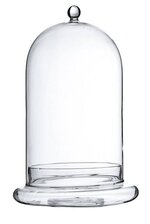 12" TERRARIUM GLASS CLOCHE CLEAR