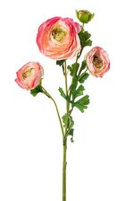 26" SILK RANUNCULUS SPRAY PINK