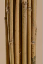 9FT X 1" BAMBOO POLE NATURAL PKG/5