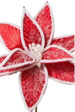 22" FROSTED COTTON CANDY POINSETTIA STEM RED/WHITE
