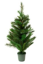 3FT X 23" IMPERIAL PINE TREE  IN POT GREEN
