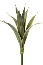 32" PU AGAVE PLANT GREEN/YELLOW