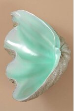 3.5" X 9" SHELL PLANTER SILVER/TEAL