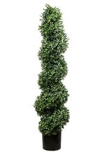 48" BOXWOOD FIT SPIRAL TOP GREEN