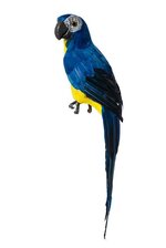 17.5" STANDING PARROT ROYAL BLUE/YELLOW