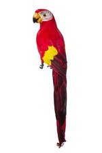 17.5" STANDING PARROT RED/YELLOW