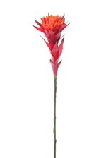 37" AFRICAN BROMELIAD SPRAY FLAME RED
