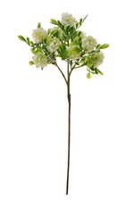 Wholesale Silk Flowers | Buy Artificial Gerbera Daisies, Silk Magnolia ...