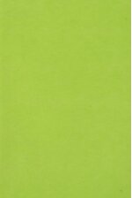 RECTANGULAR/ROUND PLASTIC TABLE COVER LIME GREEN