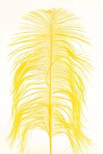 12"-14" OSTRICH FEATHER YELLOW PKG/12