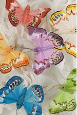 2.5" FEATHER BUTTERFLY ASSORTED PKG/12