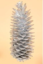 13" PAINTED/GLITTERED SUGAR CONE SILVER