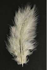 3.5" OSTRICH FEATHERS IVORY PKG/100