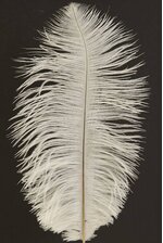 12"-14" OSTRICH FEATHER NATURAL WHITE PKG/12