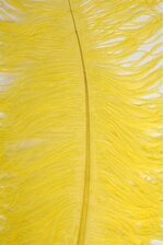 22"-26" OSTRICH FEATHER YELLOW PKG/6