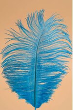 6" - 10" OSTRICH FEATHER TURQUOISE PKG/12