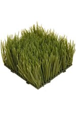 6" X 6" X 4" WHEAT GRASS GREEN