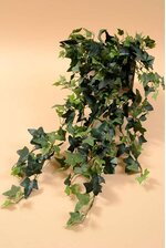 30" FROSTED ENGLISH IVY GARLAND GREEN