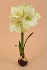 19" SILK STANDING AMARYLLIS WITH BULB GREEN