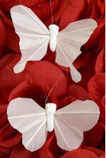 3" BUTTERFLY PURE WHITE PKG/12