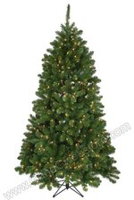 6.5FT DELUXE OREGON FIR TREE W/350 CLEAR LIGHTS GREEN