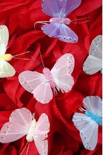 2" PASTEL BUTTERFLY ASSORTED PKG/12