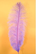 18"- 22" SINGLE OSTRICH FEATHER LAVENDER
