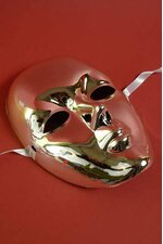 6" X 8" WHOLE FACE MASK SILVER