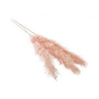 55"-62" PAMPAS GRASS (PKG-3) PINK