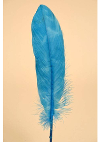 6"- 8" GOOSE FEATHER TURQUOISE PKG/50
