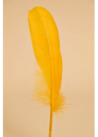 6"- 8" GOOSE FEATHER GOLD PKG/50