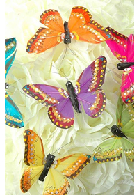 4" FEATHER BUTTERFLY ASSORTED PKG/12
