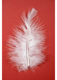 3.5" OSTRICH FEATHERS WHITE PKG/100