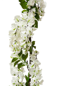 60" WISTERIA GARLAND WHITE