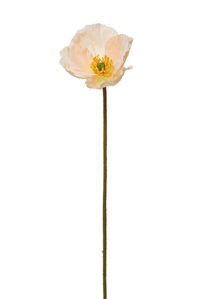 24" POPPY SPRAY PEACH