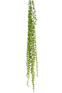 35" STRING OF PEARLS HANGING PICK GREEN