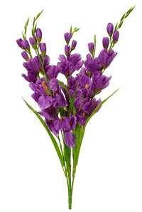 26.5" PONGEE GLADIOLUS BUSH PURPLE