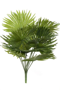 19" FAN PALM BUSH GREEN