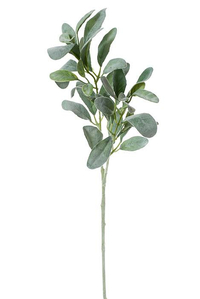 28" LAMB'S EAR LEAF SPRAY GREEN