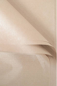 20" X 30" CRYSTALLIZED TISSUE PAPER CHAMPAGNE PKG/100