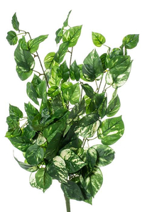 23" POTHOS LEAF BUSH W/117 LEAVES GREEN