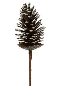 8" PINE CONE PICK NATURAL