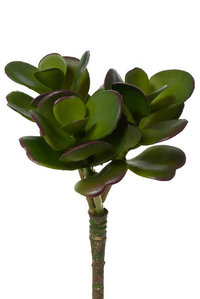 7" JADE SUCCULENT PICK GREEN